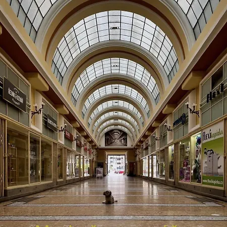 Za Pasazi S Balkonem V Centru Pardubic Apartment *