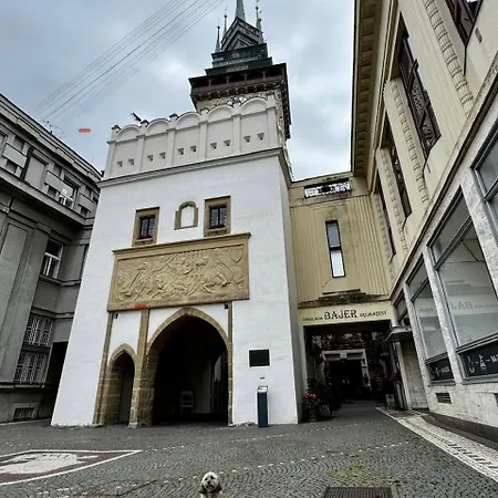Za Pasazi S Balkonem V Centru Pardubic *