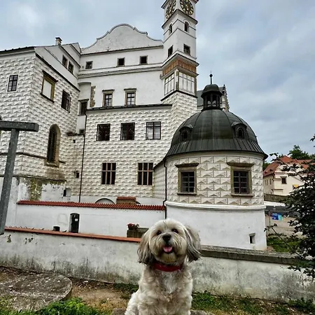 Za Pasazi S Balkonem V Centru Pardubic Apartment