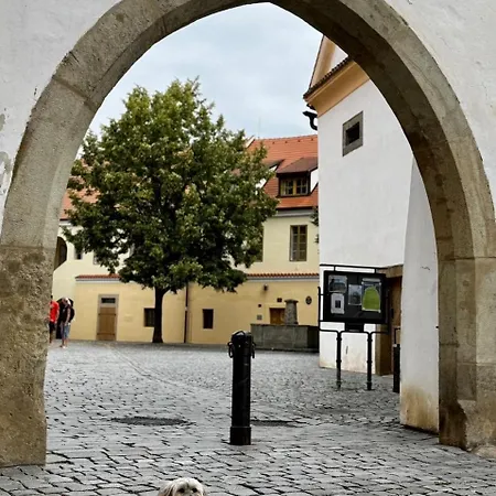 Apartment Za Pasazi S Balkonem V Centru Pardubic